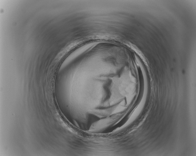 X0000086000577200704201833