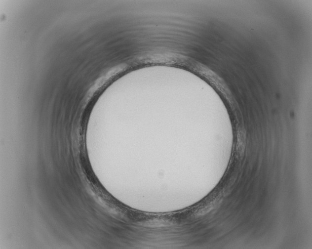 X0000086000578200704201833