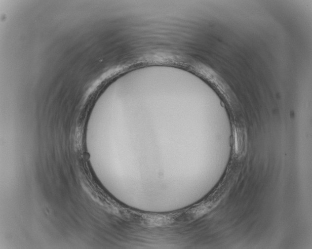 X0000086000579200704201833