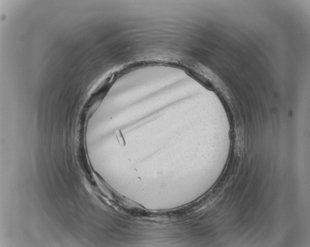 X0000086000580200704201833