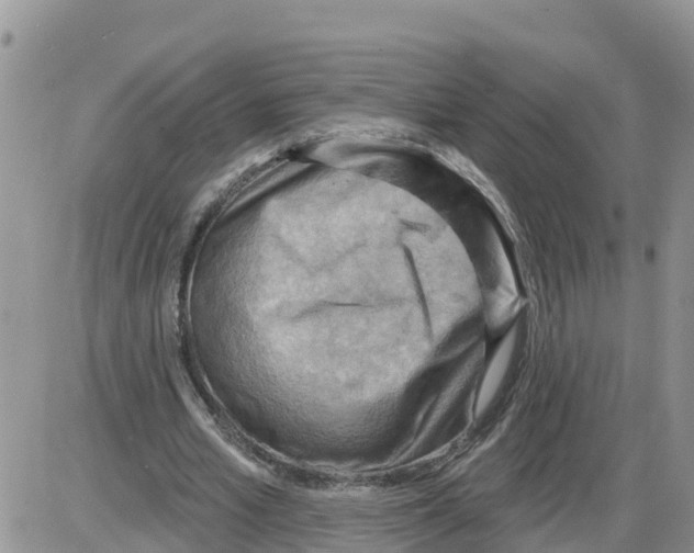 X0000086000581200704201833