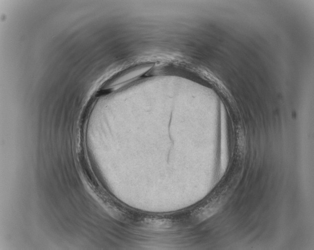 X0000086000582200704201833