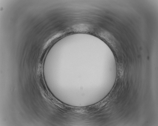 X0000086000583200704201833