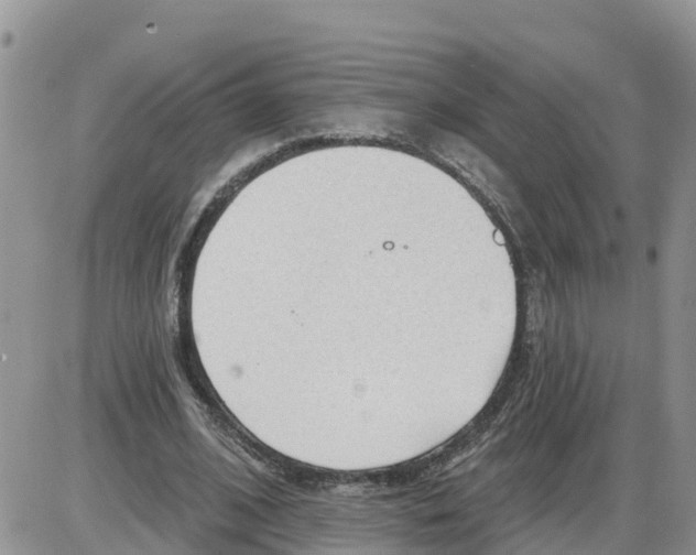 X0000086000584200704201833