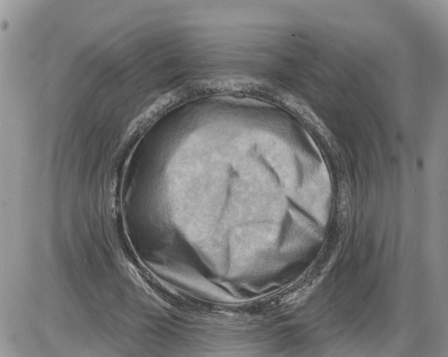 X0000086000585200704201833