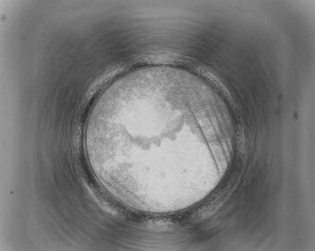 X0000086000586200704201833