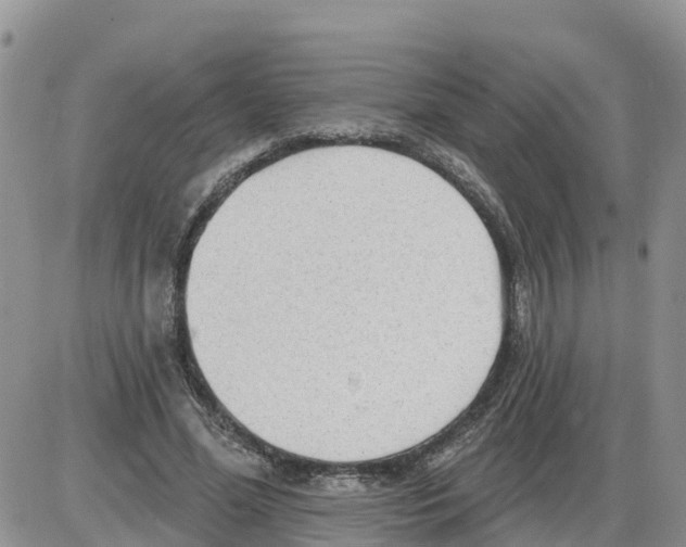 X0000086000588200704201833