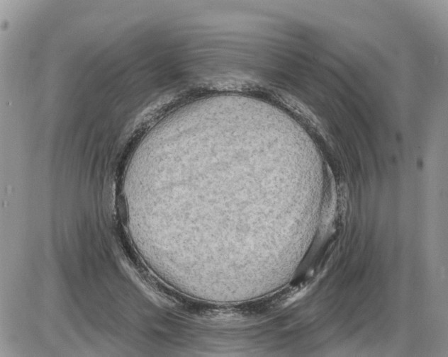 X0000086000589200704201833