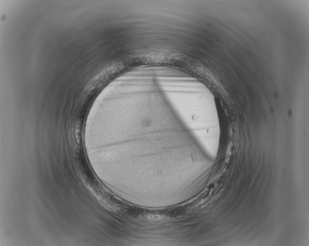 X0000086000590200704201833