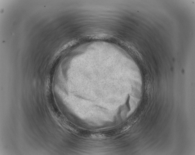 X0000086000591200704201833