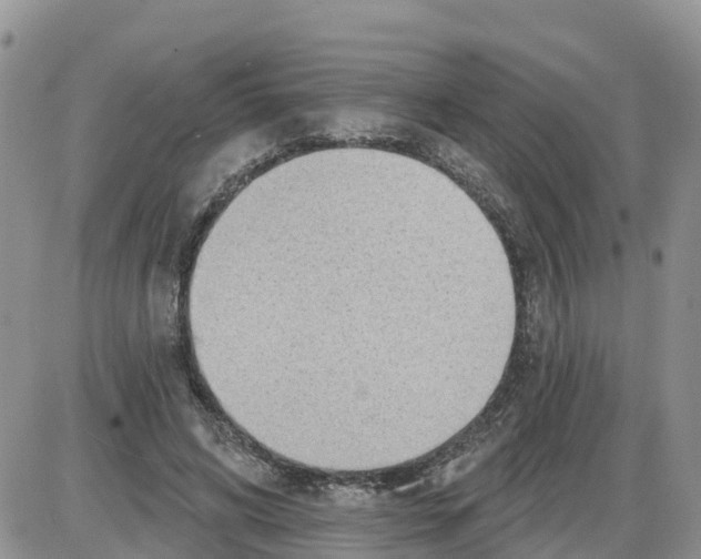 X0000086000592200704201833