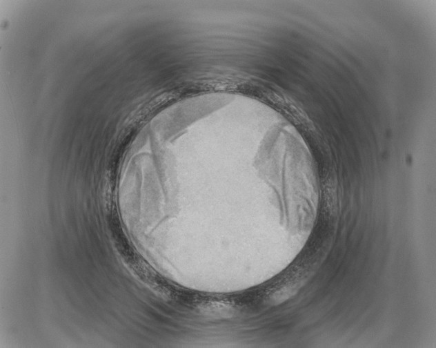 X0000086000594200704201833