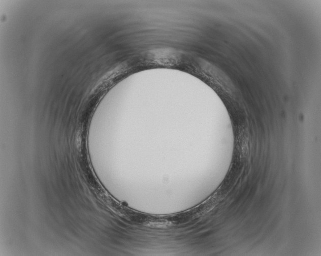 X0000086000595200704201833