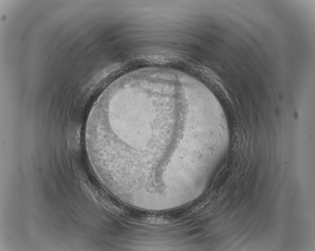 X0000086000596200704201833