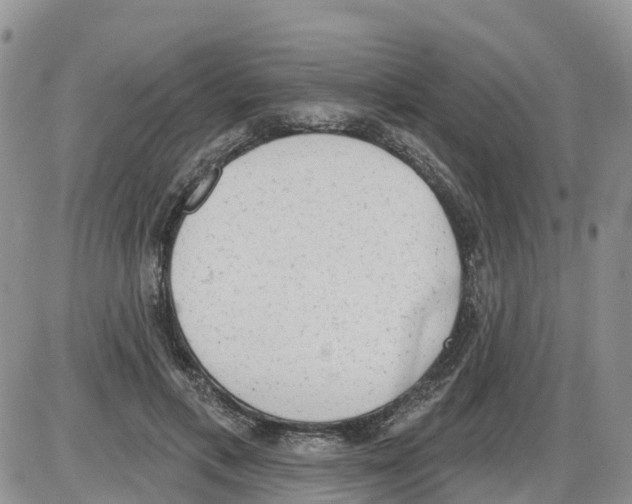 X0000086000597200704201833