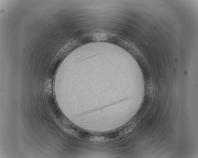 X0000086000598200704201833