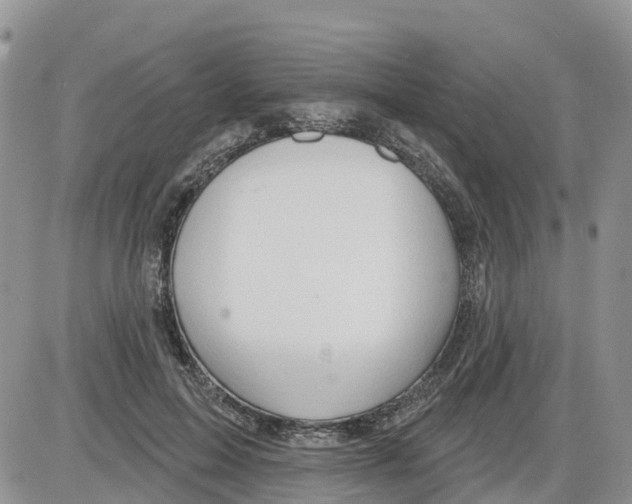 X0000086000599200704201833