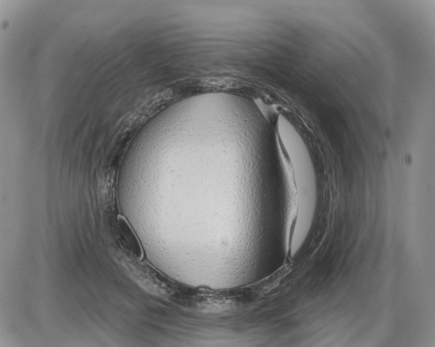 X0000086000601200704201833