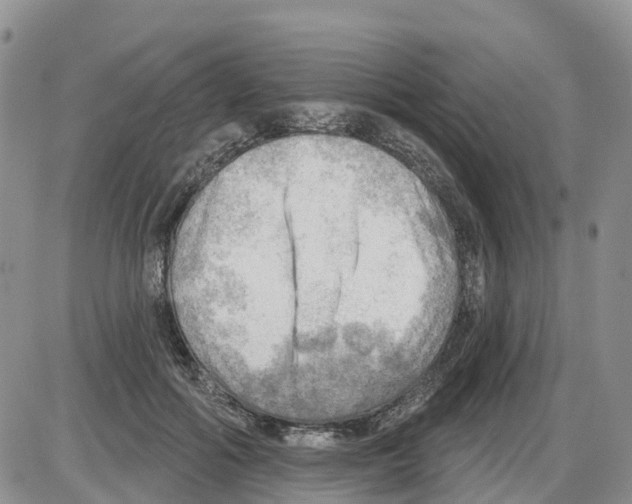 X0000086000602200704201833