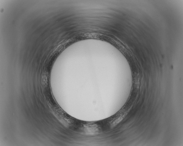 X0000086000603200704201833