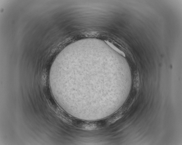 X0000086000604200704201833