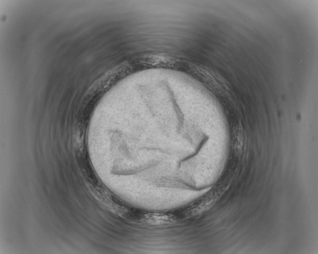 X0000086000607200704201833