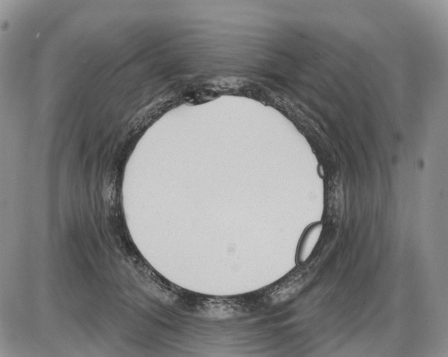 X0000086000608200704201833