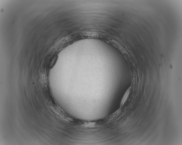 X0000086000609200704201833