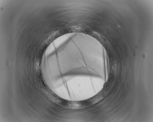 X0000086000610200704201833