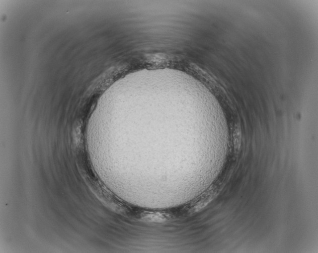 X0000086000611200704201833