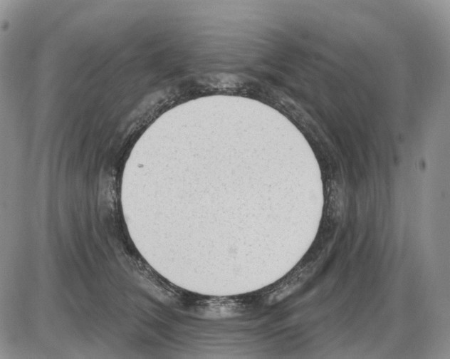 X0000086000612200704201833