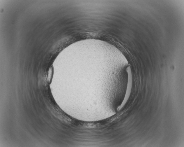 X0000086000613200704201833