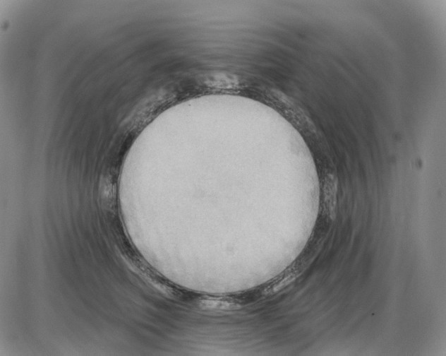 X0000086000614200704201833