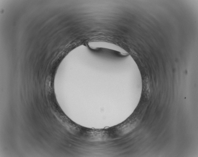 X0000086000615200704201833