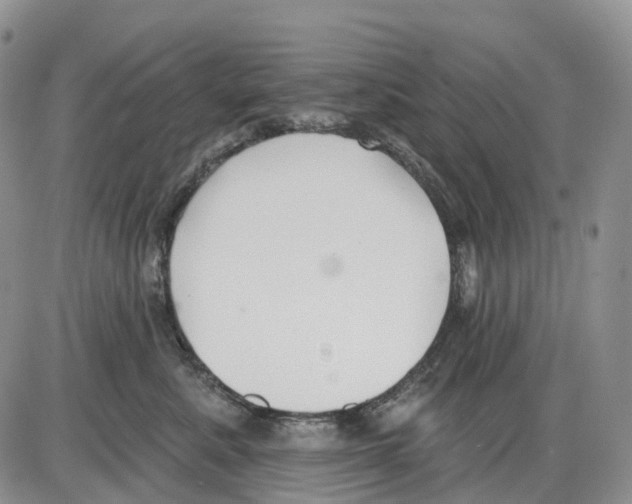 X0000086000619200704201833