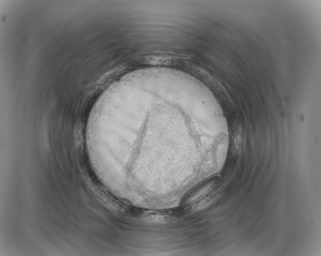 X0000086000620200704201833