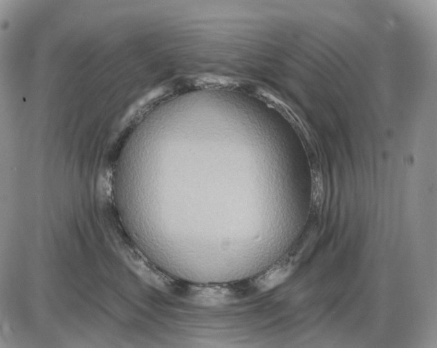 X0000086000621200704201833