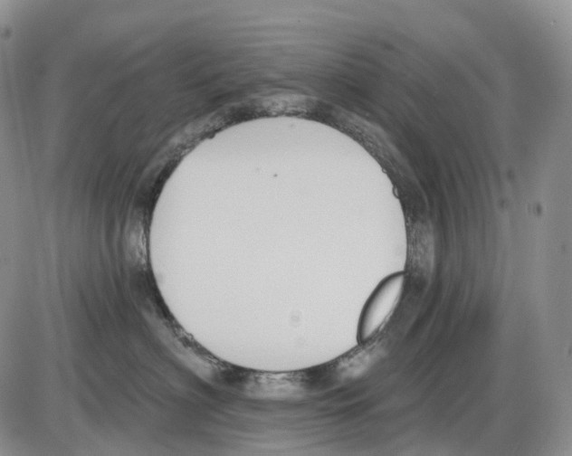 X0000086000622200704201833