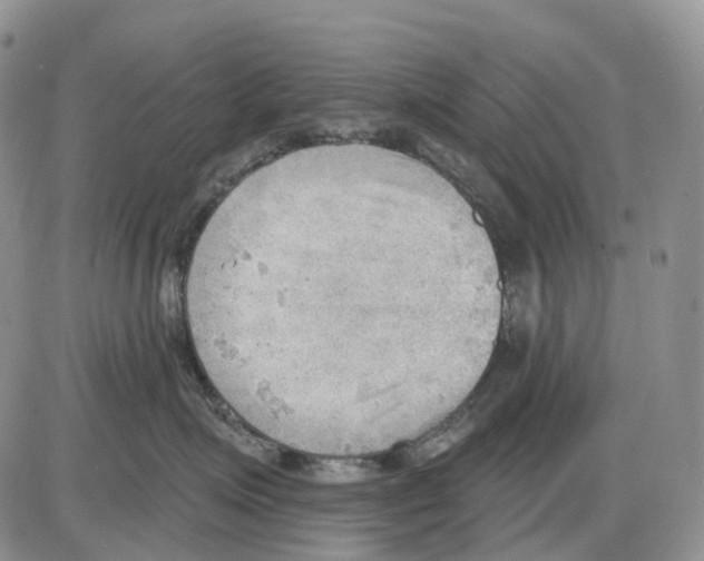 X0000086000623200704201833