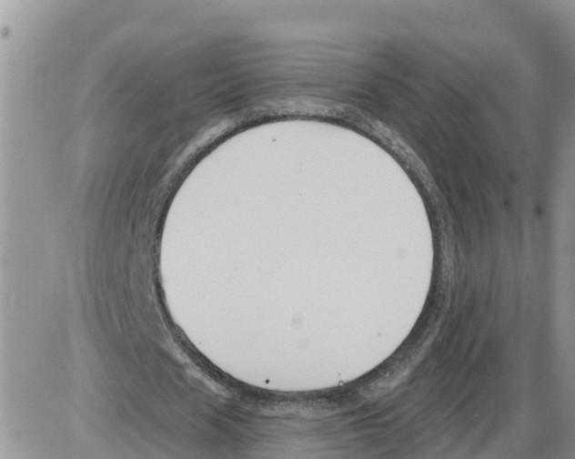 X0000086000625200704201832