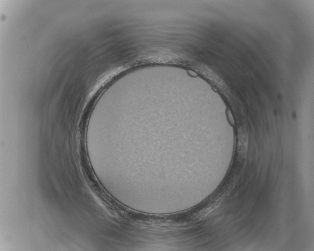 X0000086000626200704201832