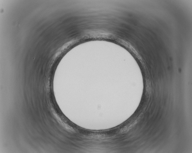 X0000086000629200704201832