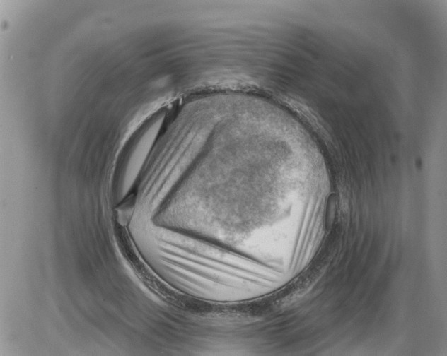 X0000086000630200704201832