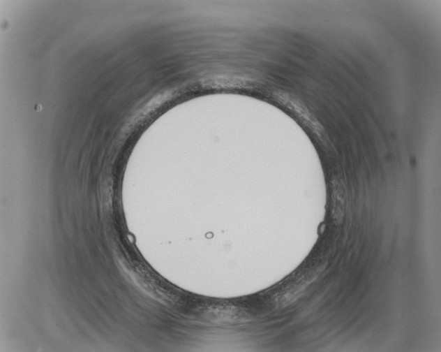 X0000086000631200704201832