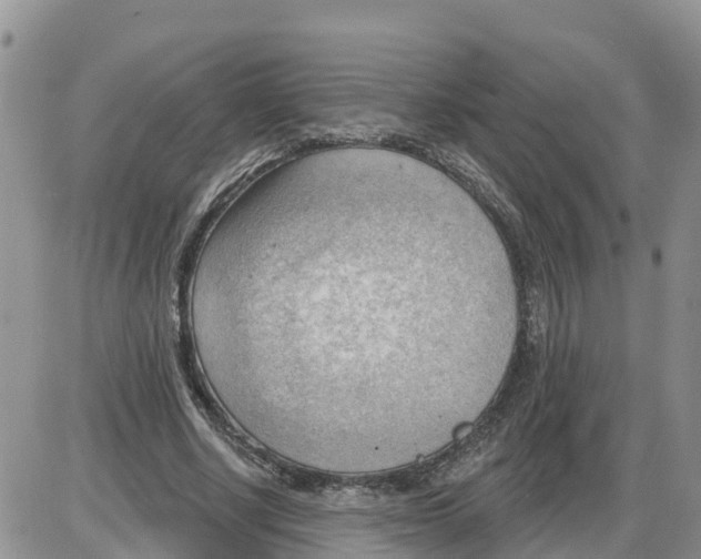 X0000086000634200704201832