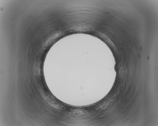 X0000086000635200704201832