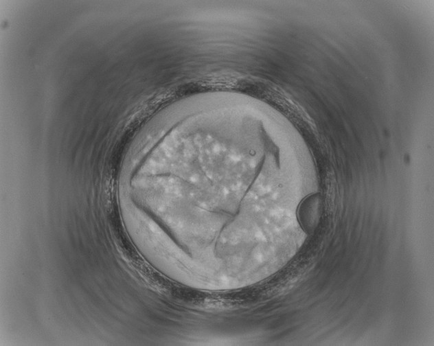 X0000086000641200704201832