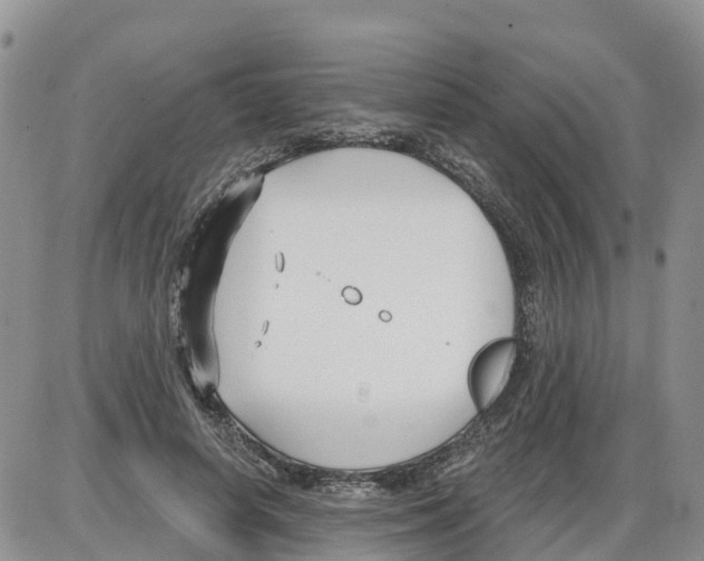 X0000086000642200704201832