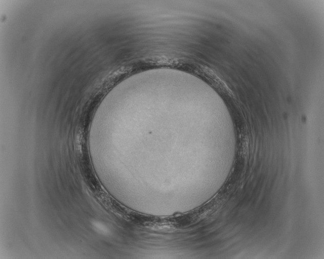 X0000086000643200704201832