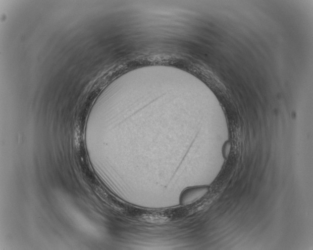 X0000086000644200704201832